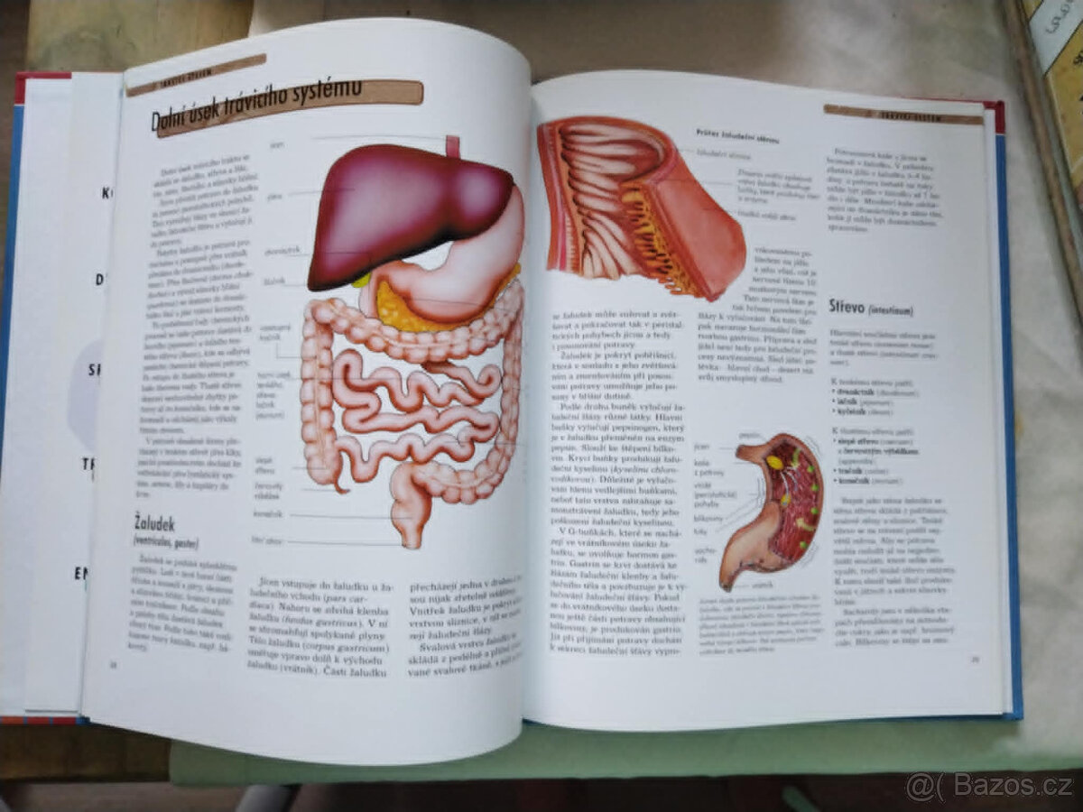 Kniha o lidském těle - 3