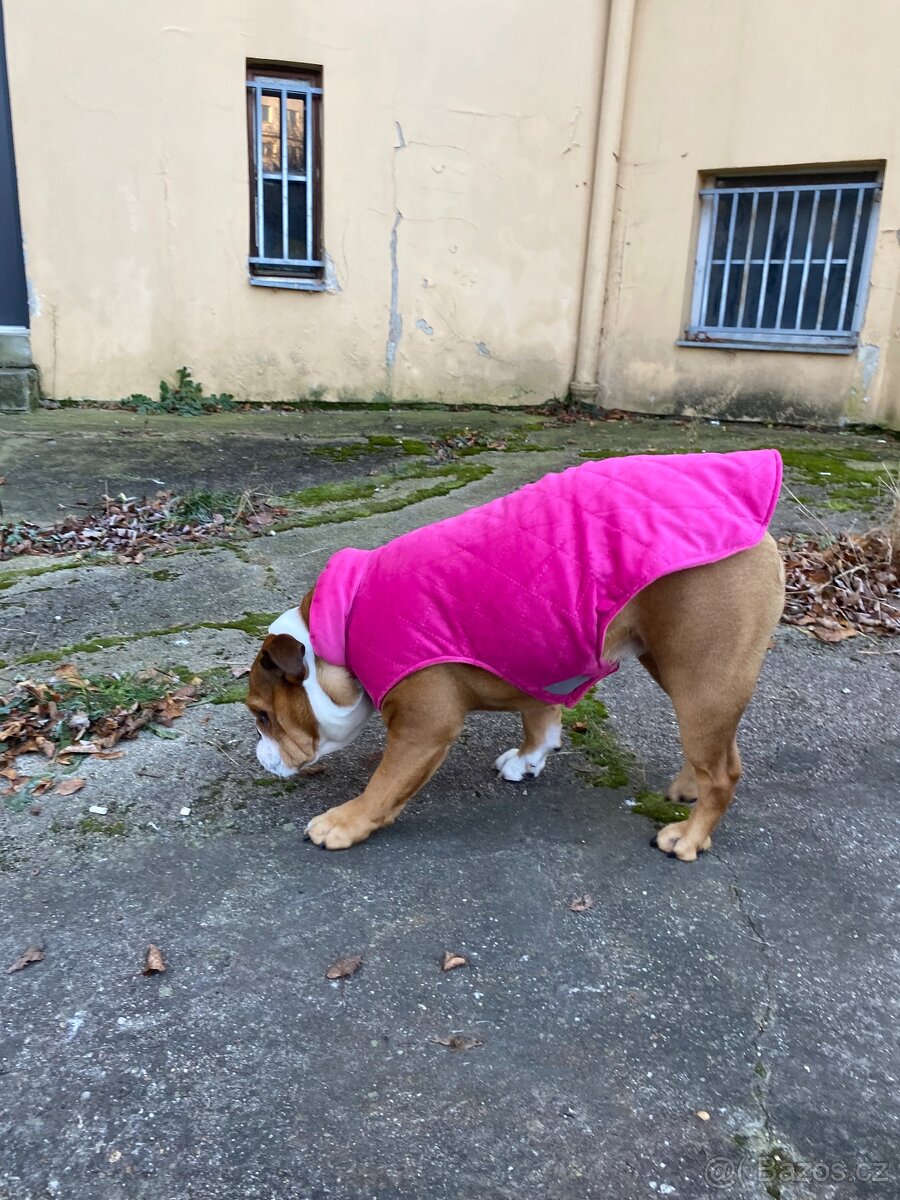 zimní vesta Surtep Animals Street - 3