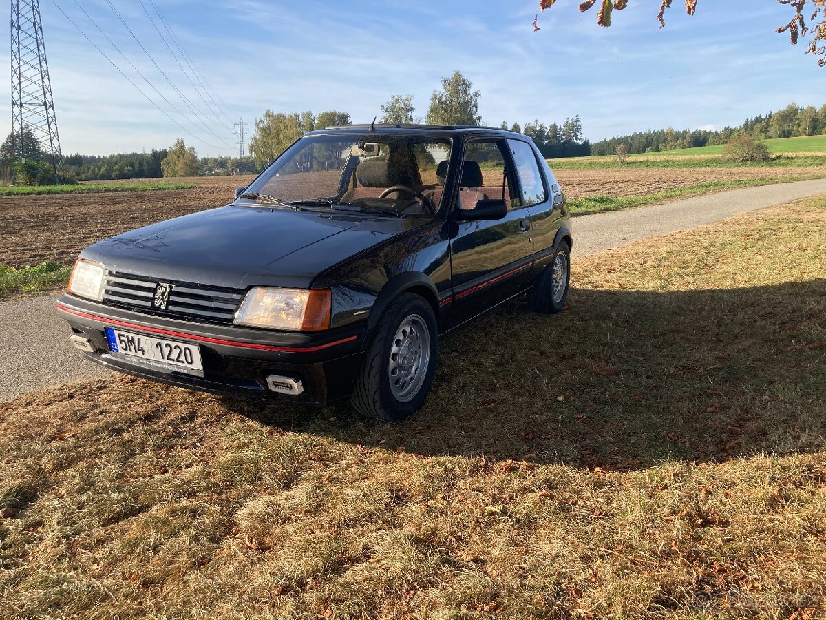 205 GTI 1.6 - 3