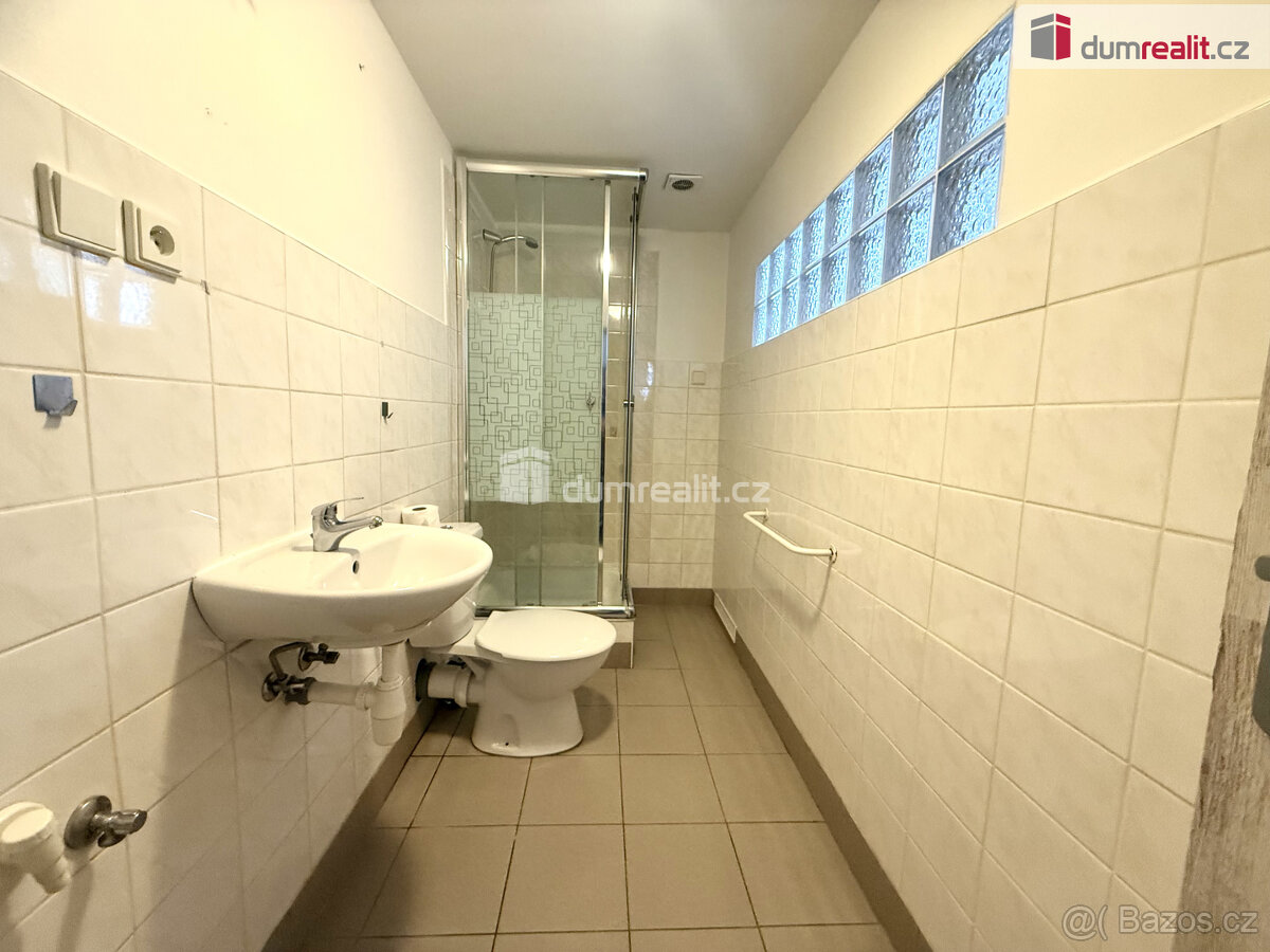 Pronájem prostorného bytu 1+1 v Děčíně v ulici Elišky Krásno - 3