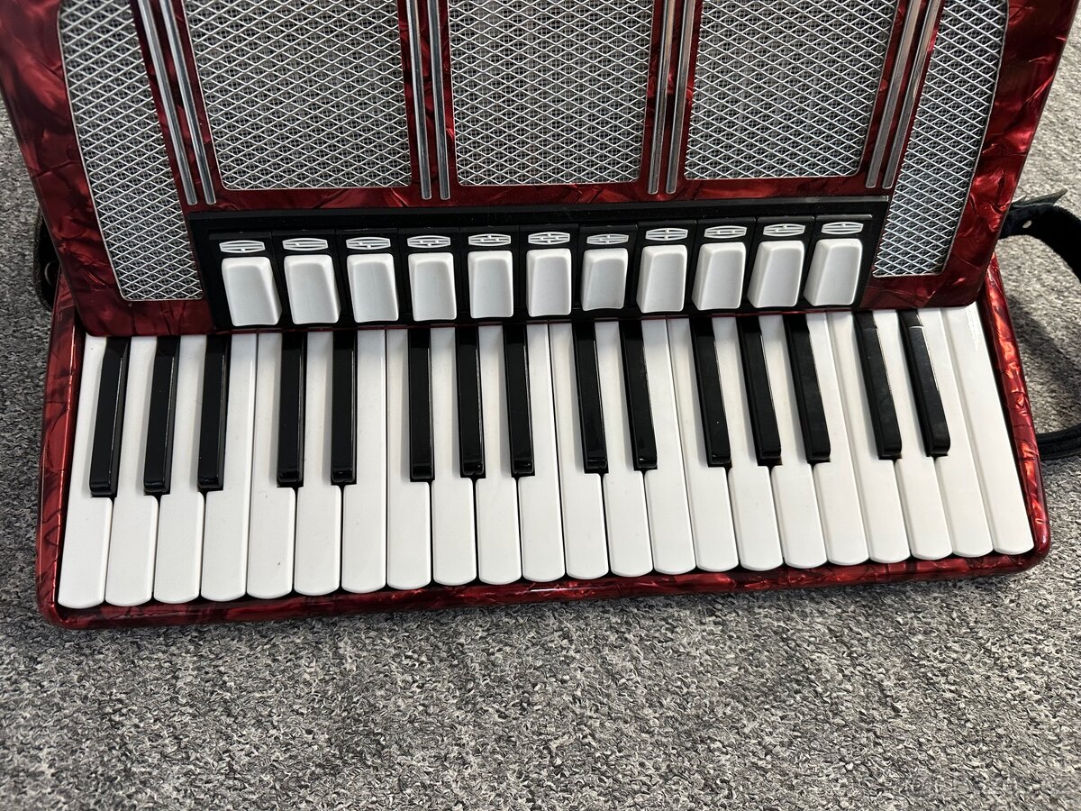 Akordeon, Harmonika - 3