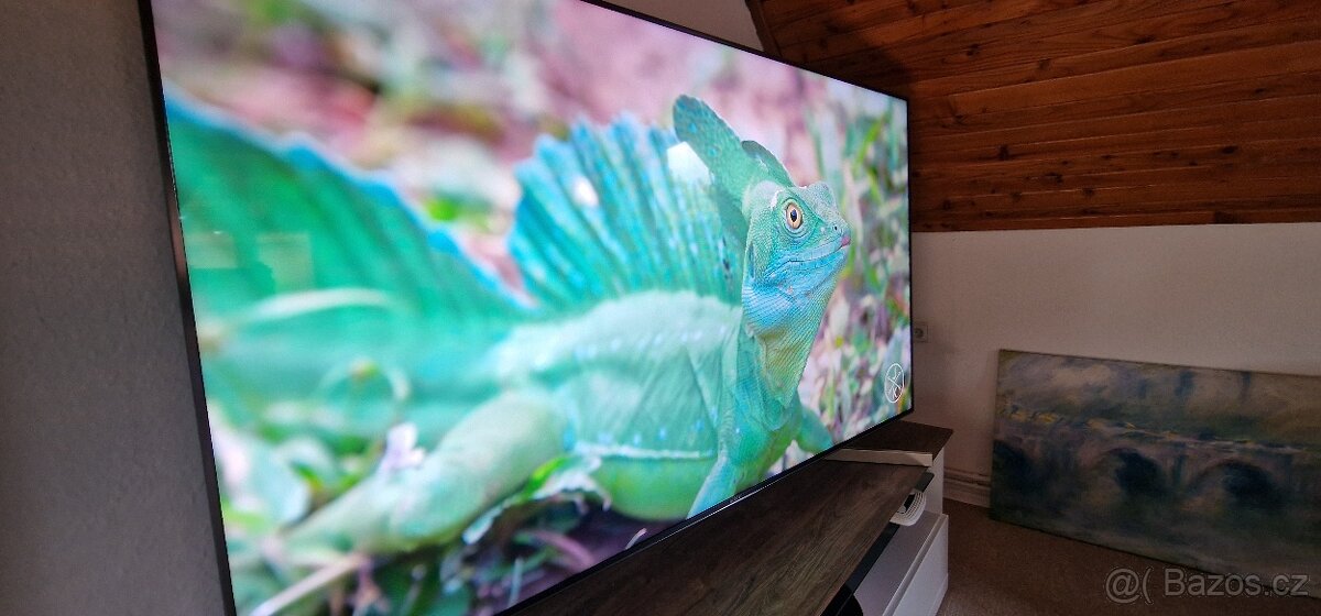 4K LED 65" TV Sony KD-65XF9005 - 3