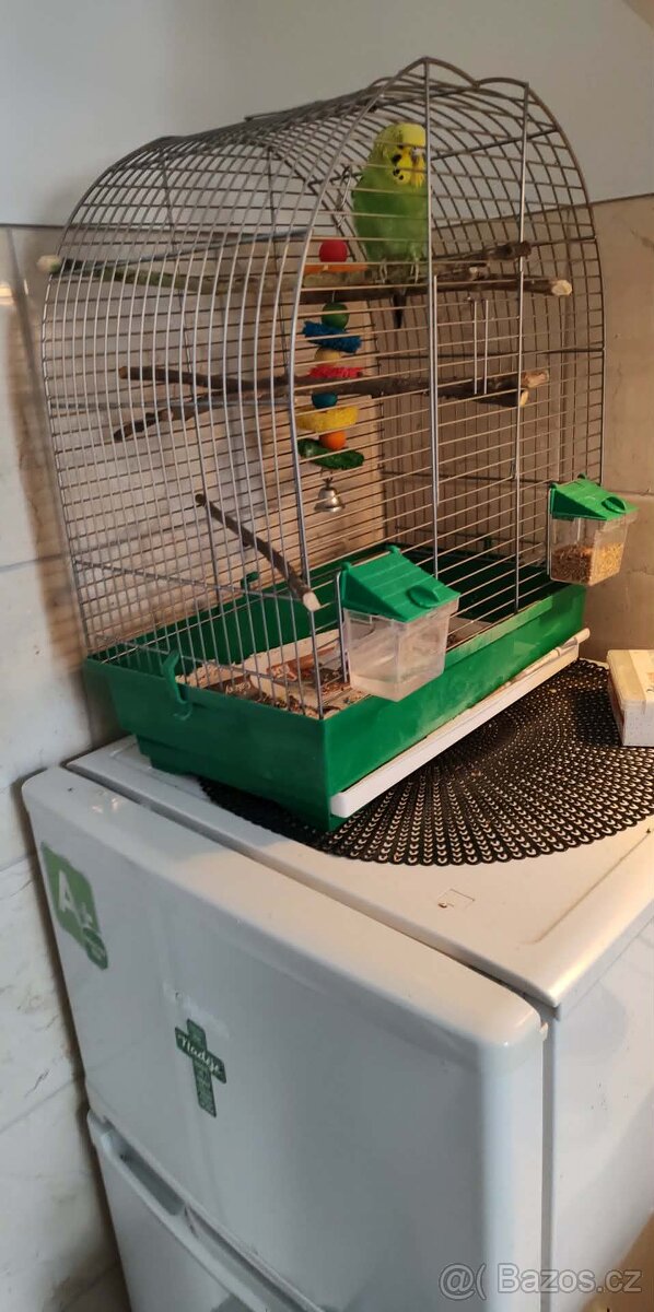 Andulka s klecí - 3