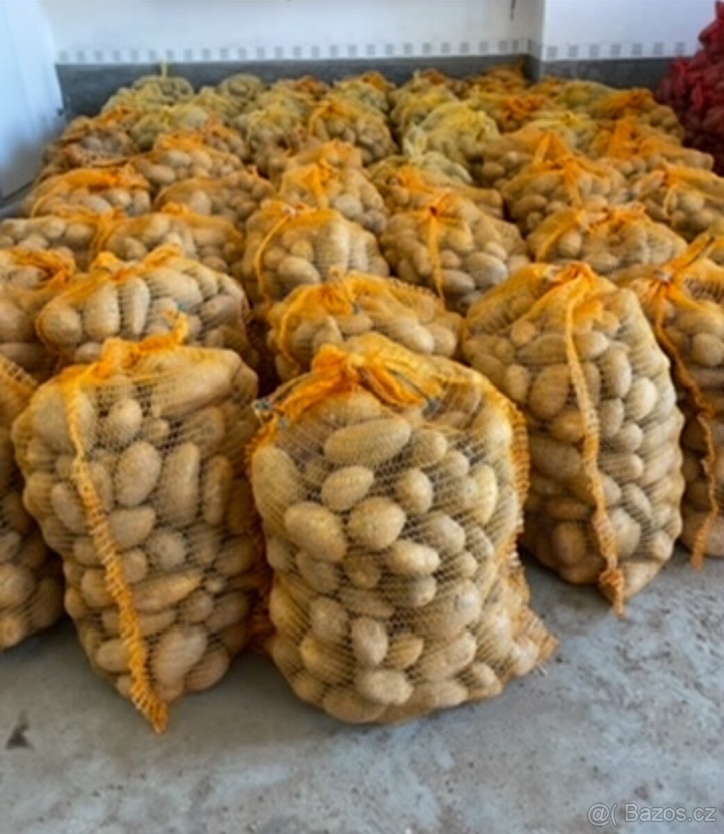 Domácí brambory na uskladnění - 3