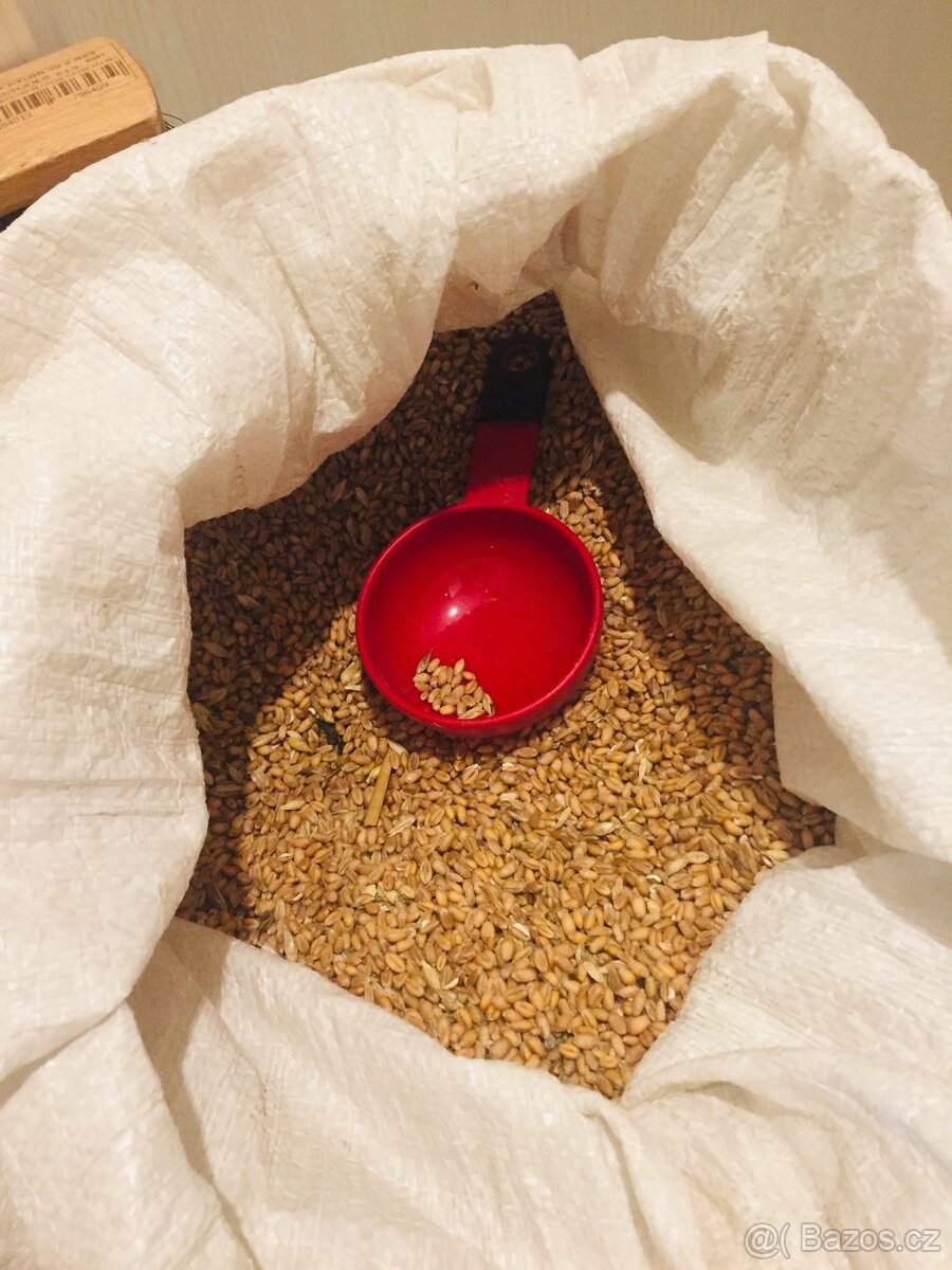 Prodej bio vajec - 3