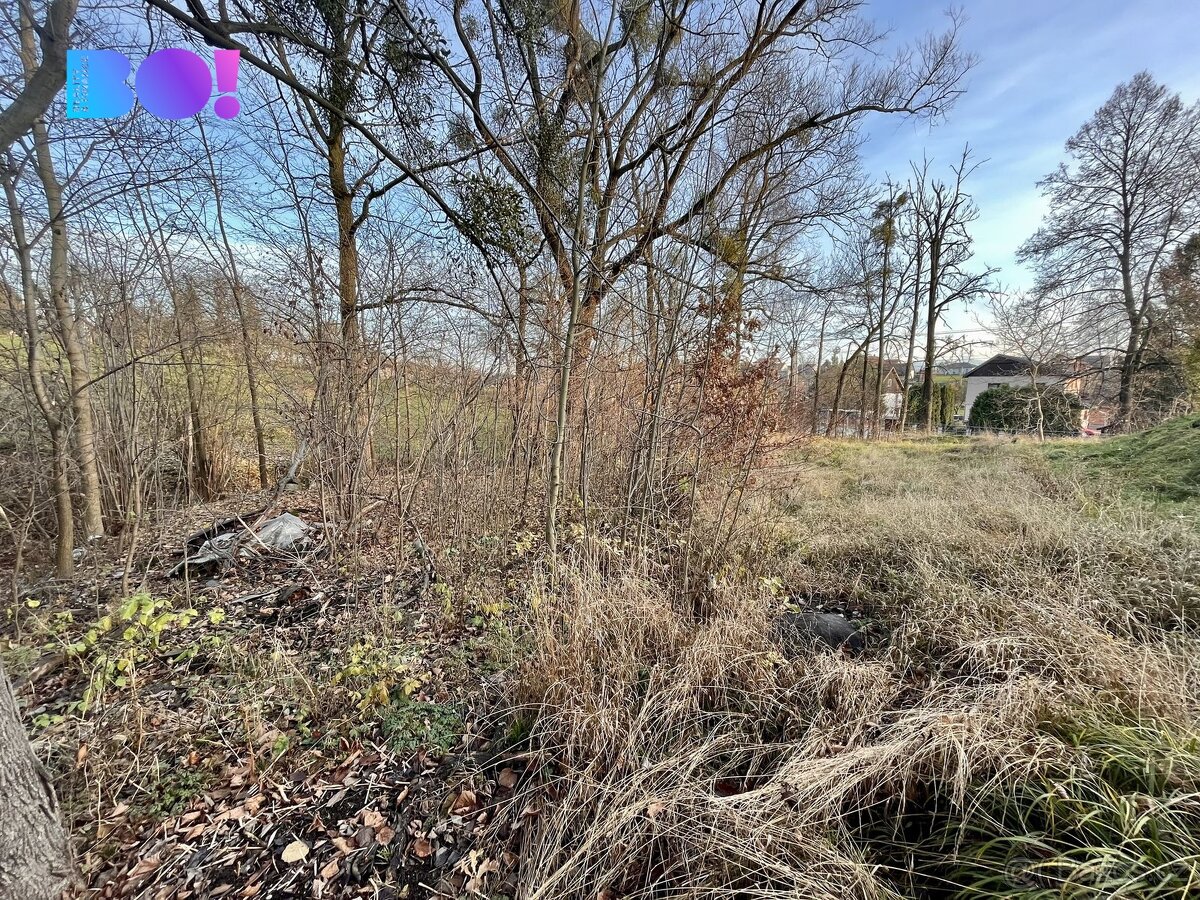 Prodej pozemku 814 m², Staříč - 3