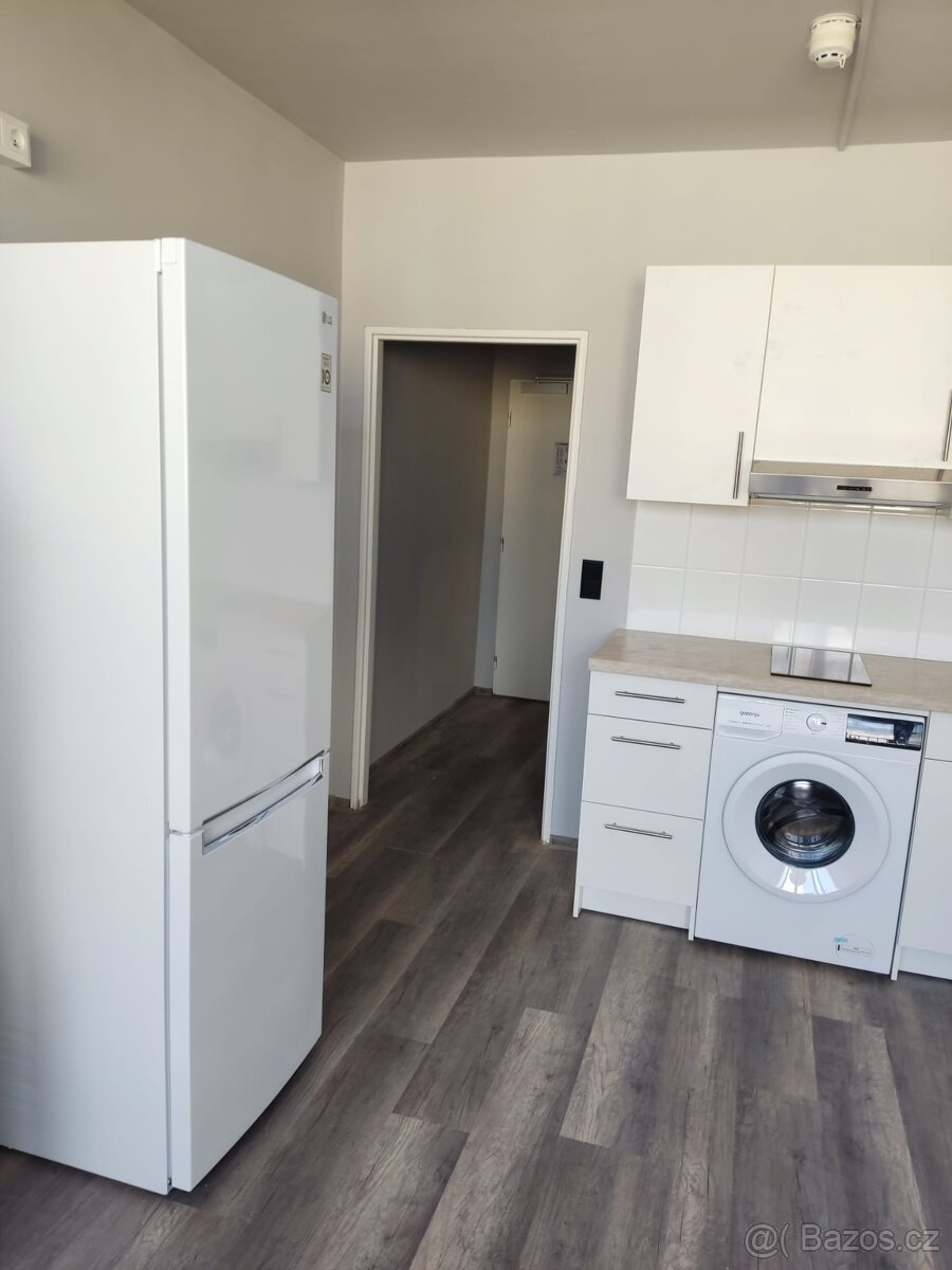Pronájem Bytu 1+kk Praha Děčínská Střížkov Praha 8 - 3