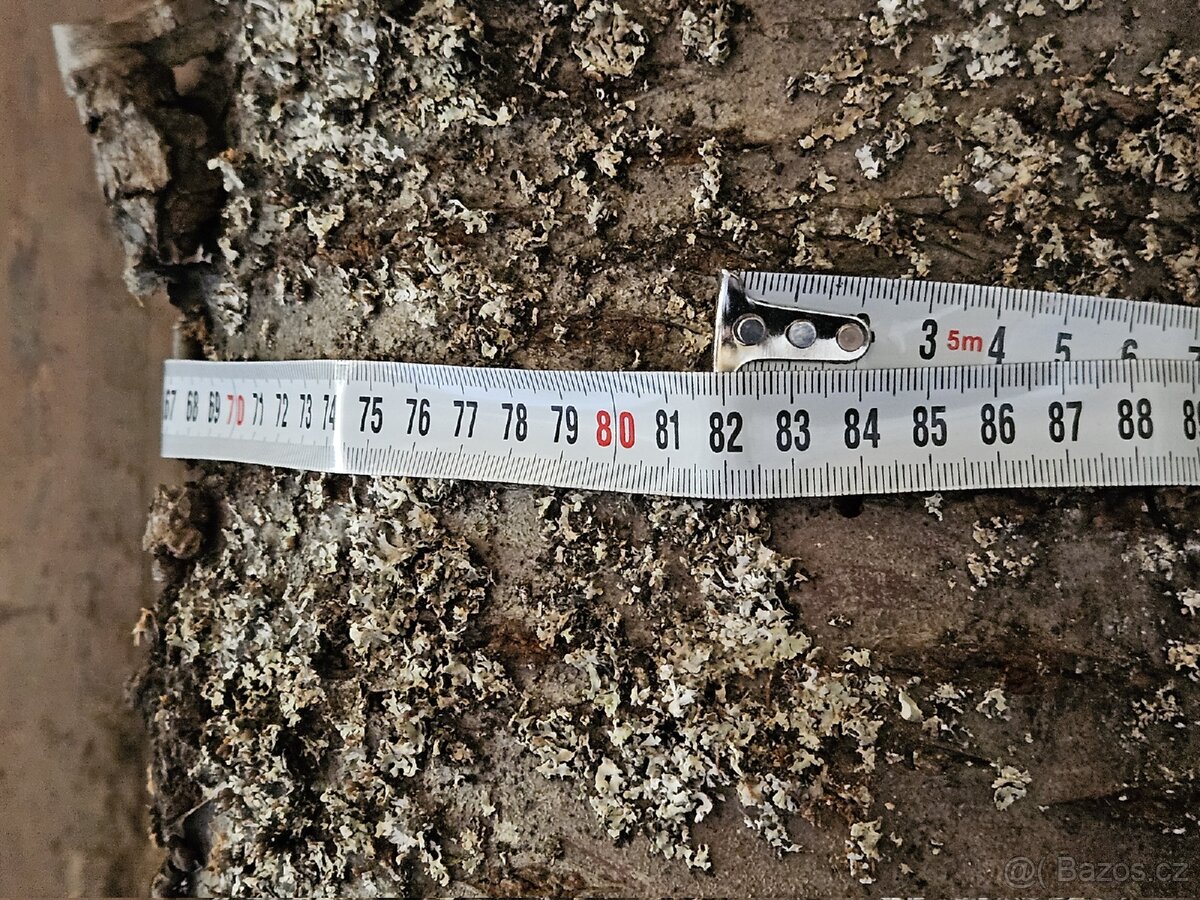 Kmen třešně - krásně rostlý - 3