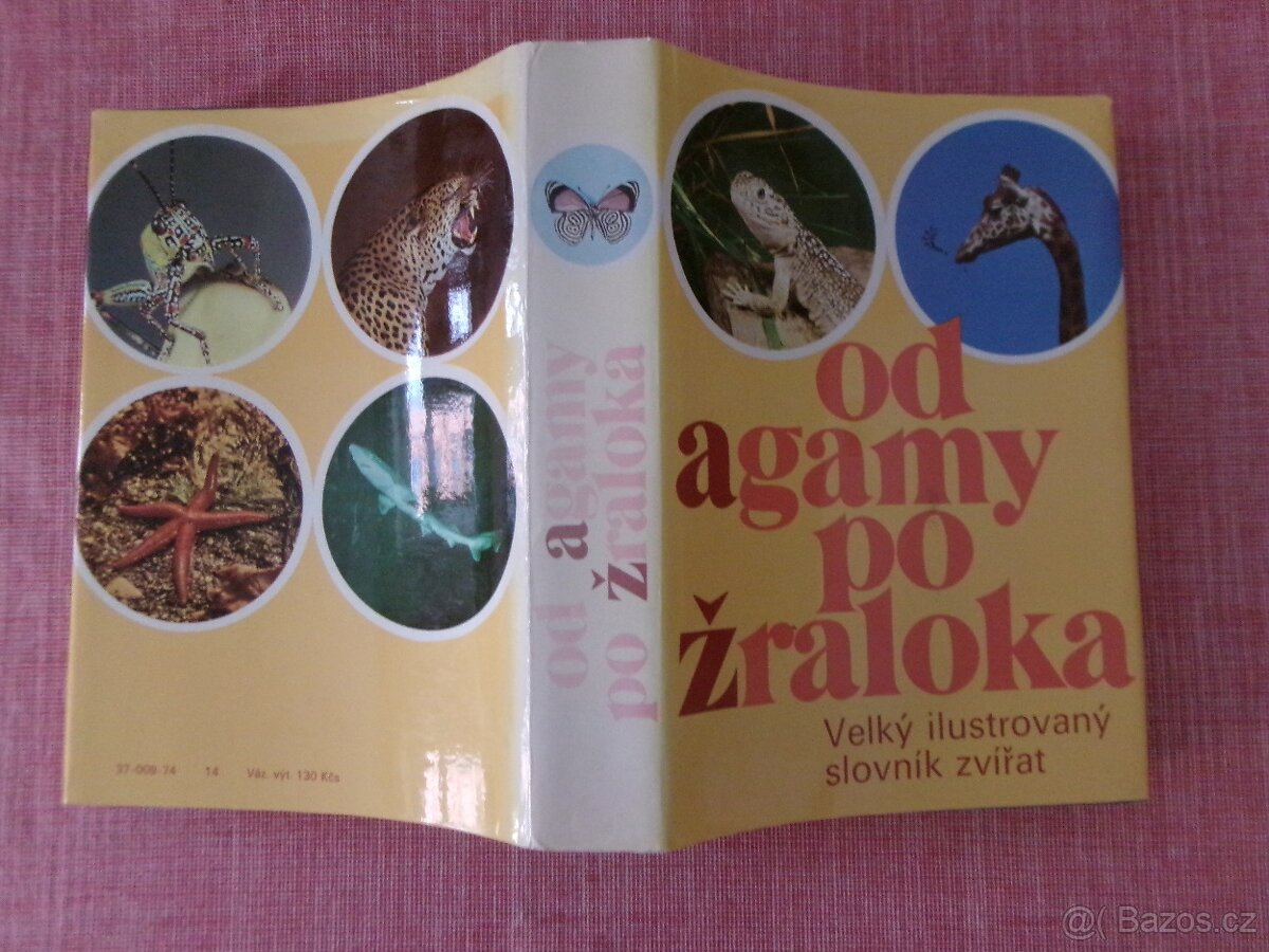 Od agamy po žraloka: Velký ilustrovaný slovník... - 3