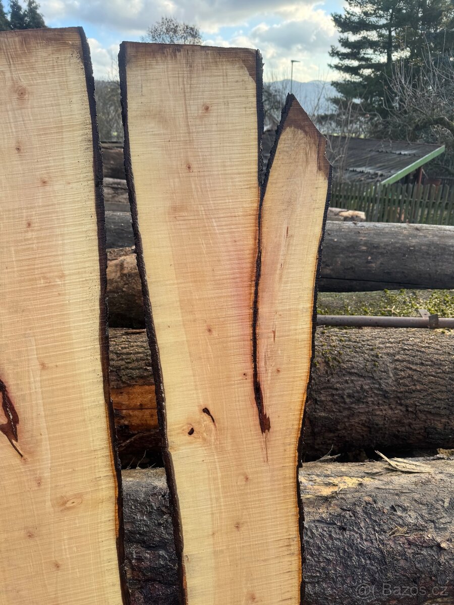 Kaštanové fošny - 3