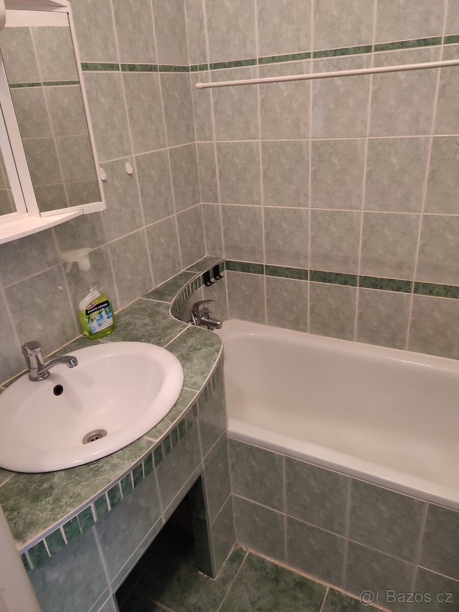 Pronájem bytu 1+1 Frýdek-Místek, Mozartova 1799 - 3