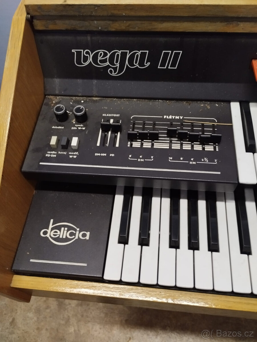 Harmonium Delicia Vega II - 3