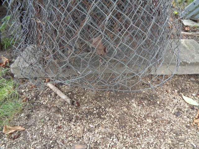 drátěný plot-starší - levně, 1,6 metrů x 9m - 3