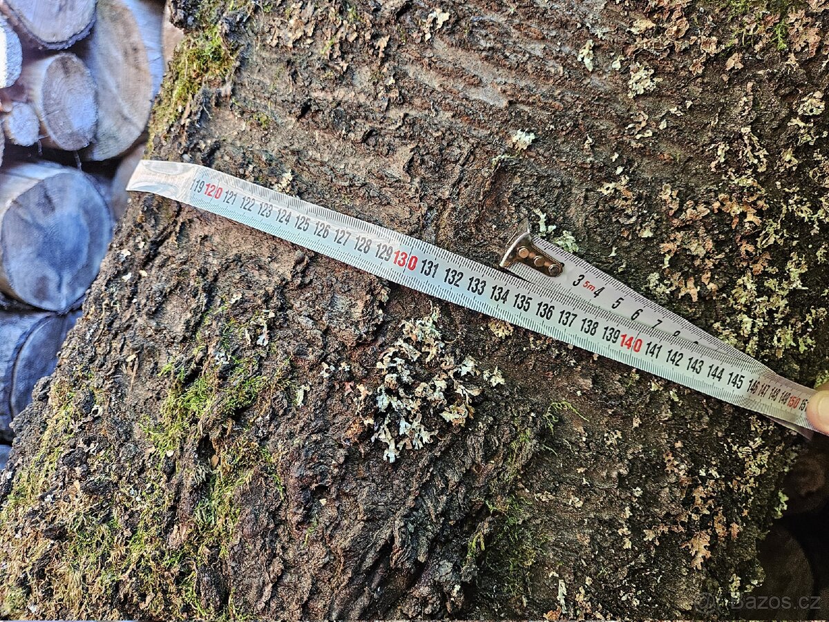 Kmen třešně - trešňové dřevo - 3
