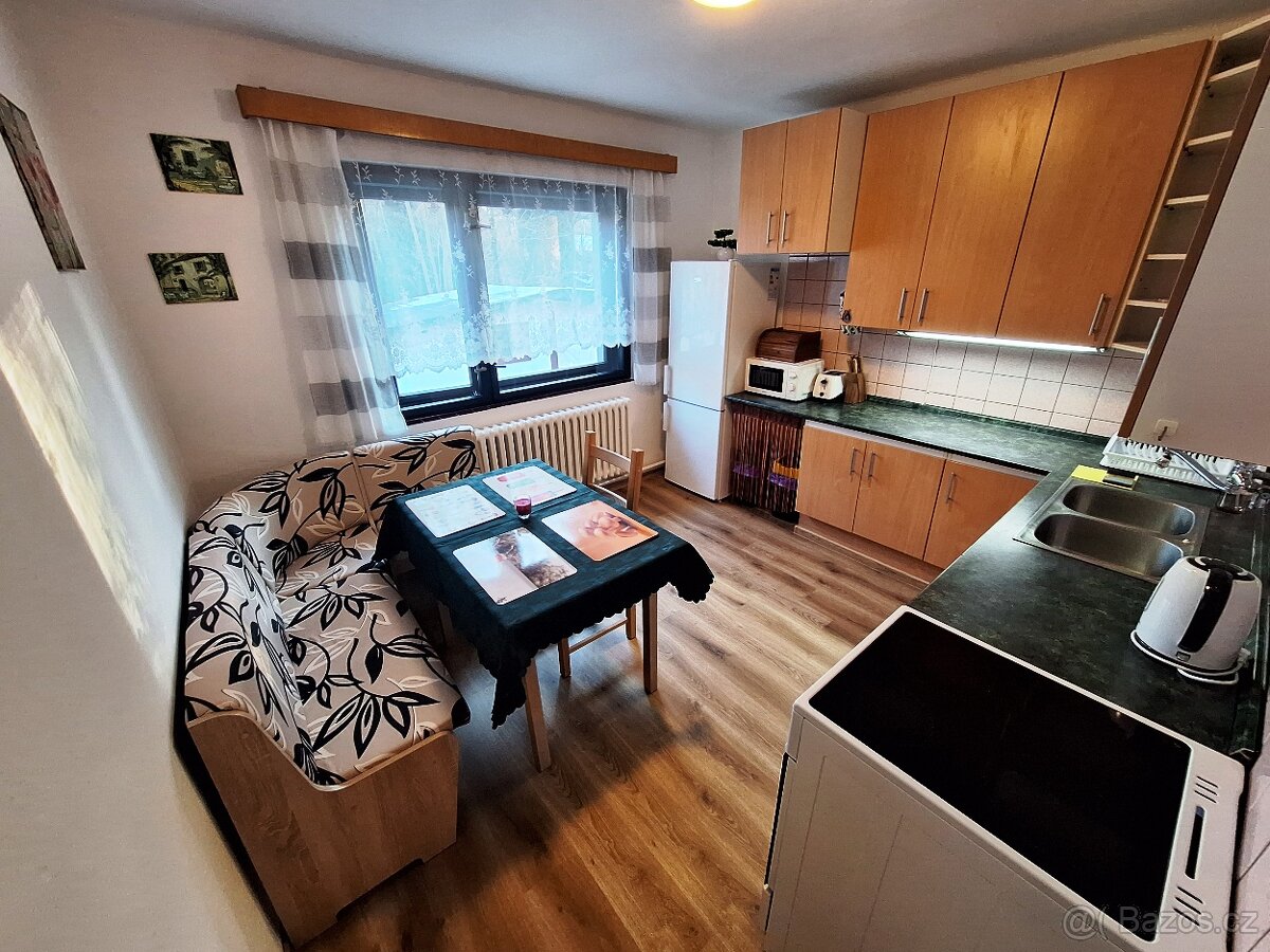 Pronájem, byt 3+1, 90 m2, Olešnice v Orl. horách - 3