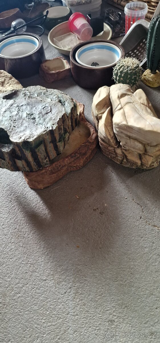 Prodej potřeb pro teraria - 3