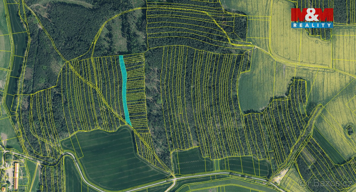 Prodej lesa, 10594 m², Koloveč - 3