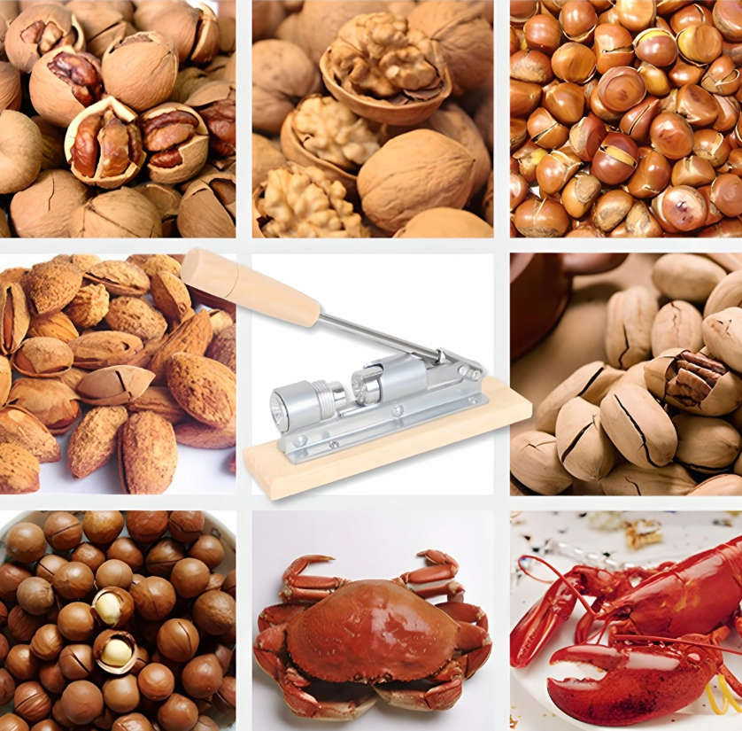 Lis na vlašské a lískové ořechy - 3