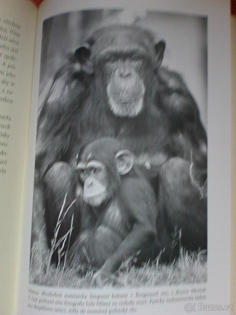 Mámino poslední objetí Frans De Wall. - 3