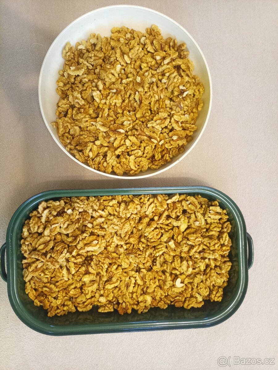 PRODÁM VLAŠSKÉ OŘECHY - 3