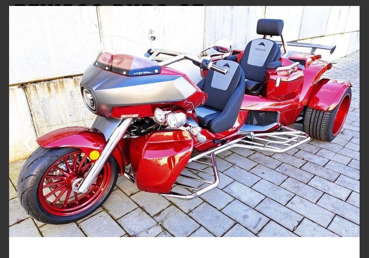 Třikolka Rewaco Pur 3 GT - 3