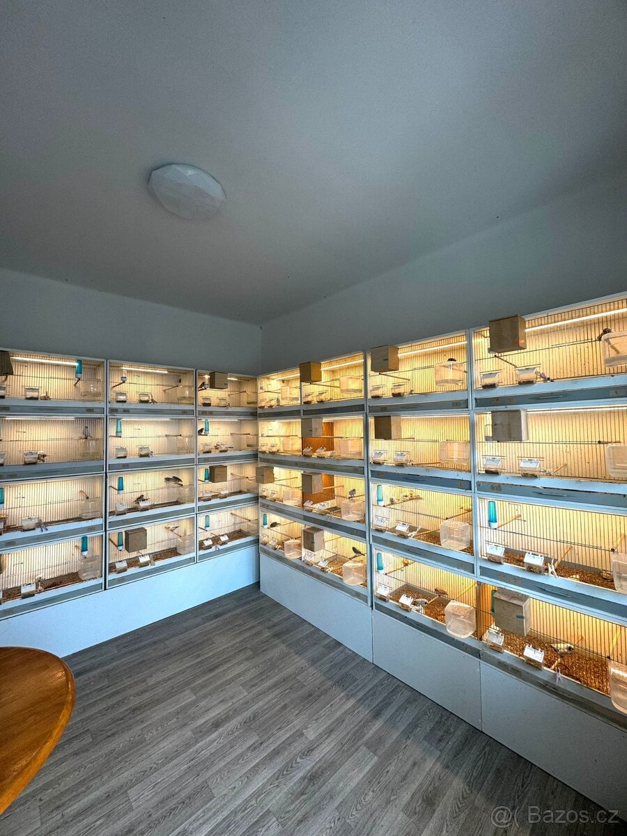 BEDNOVÉ KLECE S OSVĚTLENÍM ===REZERVACE=== - 3