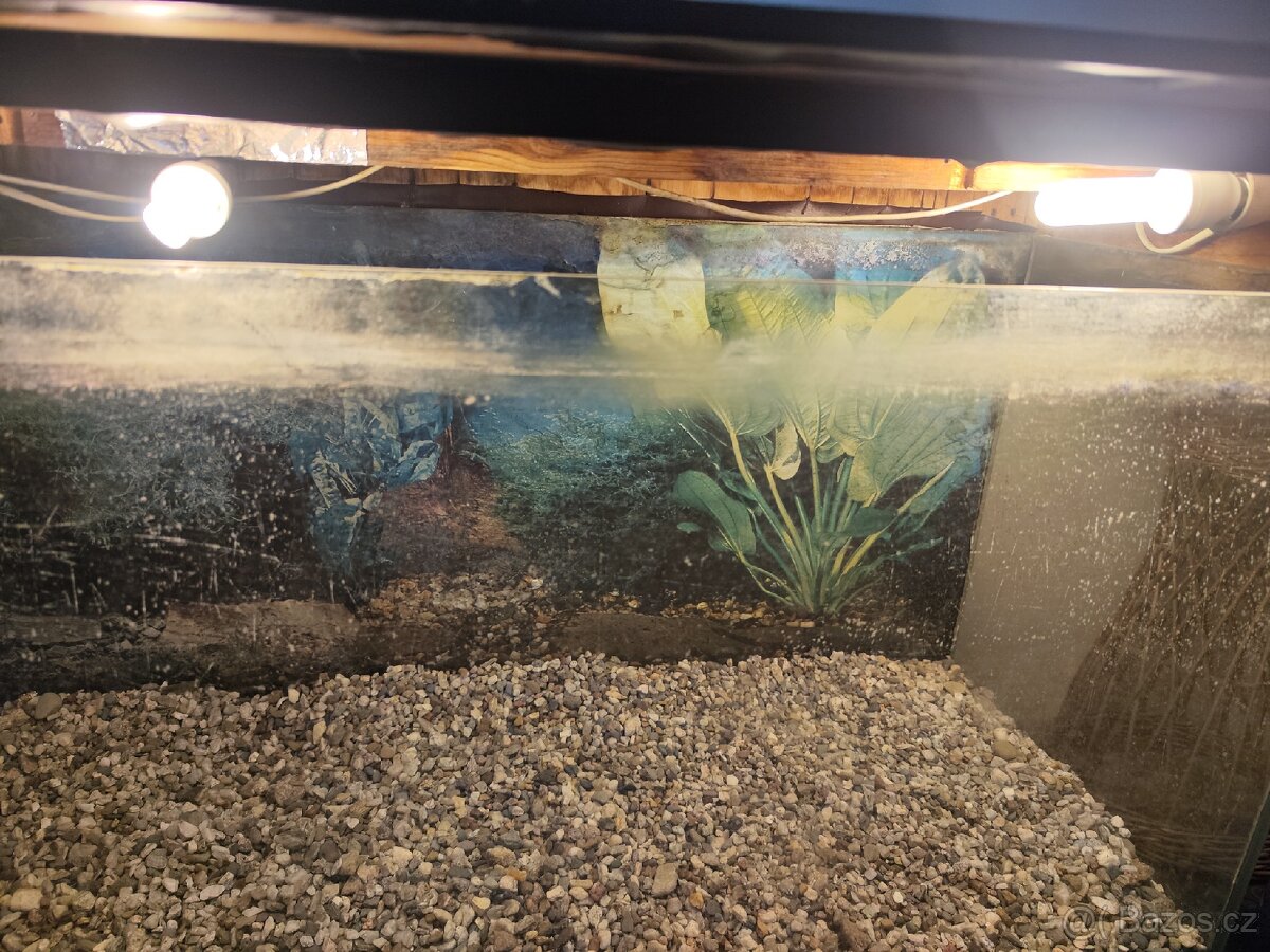 Terárium za odvoz - 3