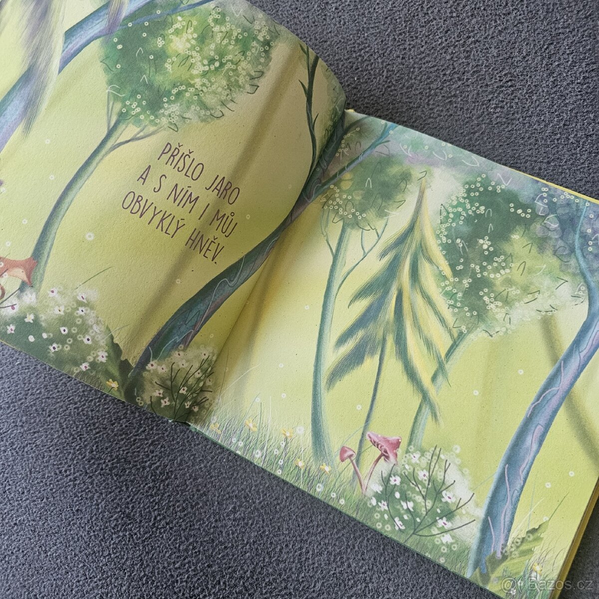 Já a pan hněv - Iryna Zelyk - 3