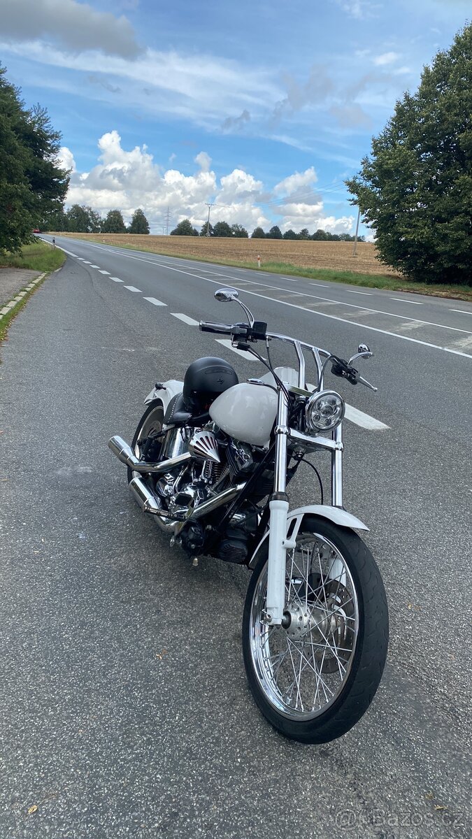 Harley-Davidson FXSTC Softail Custom 1584 | Twin Cam 96B - 3
