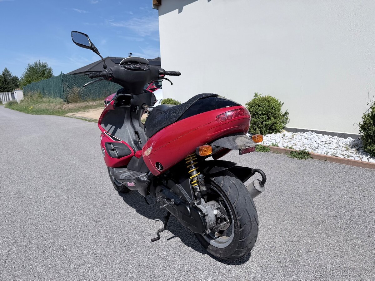 Benelli 491 RR - 3