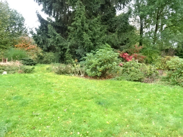 Prodej reprezentační vily v Rumburku - 3