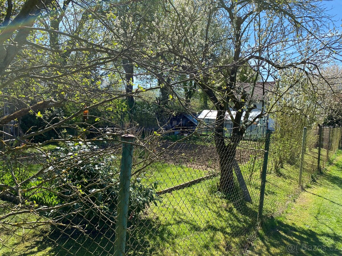 Prodej zahrady - 3