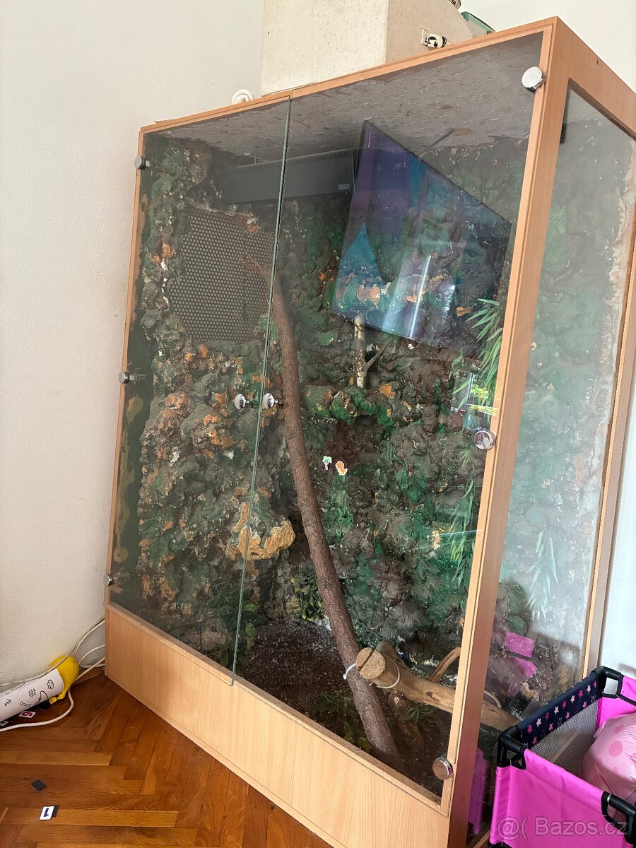 Terarium - 3
