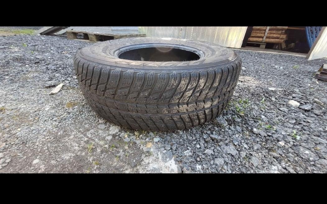 Pneumatiky zimní Ford Nokian - 3