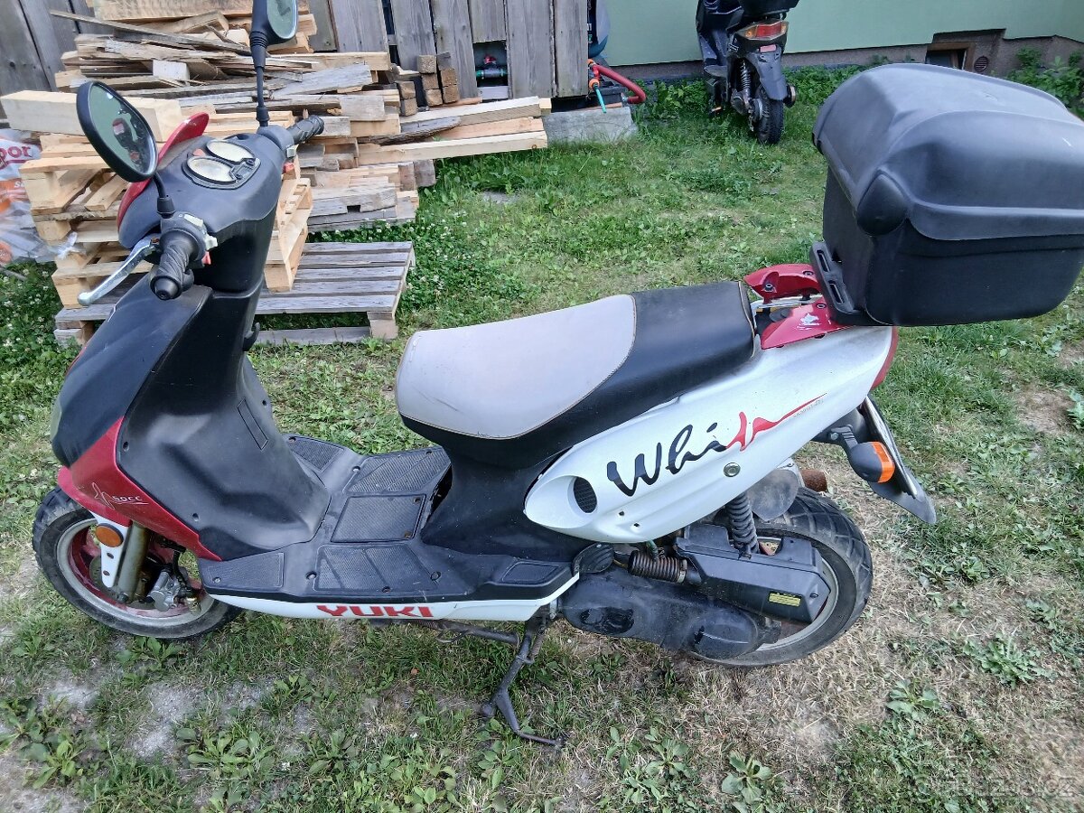 Yuki - 3