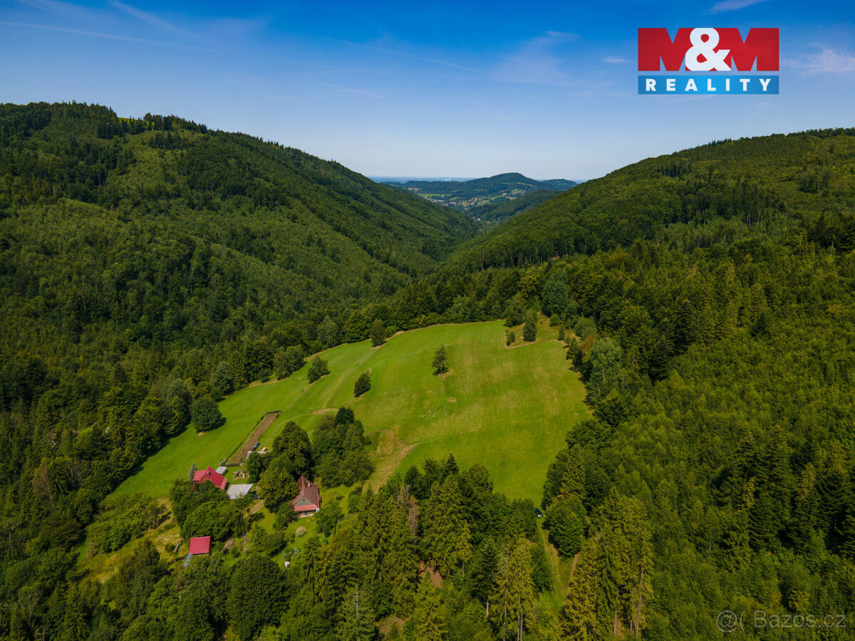 Prodej pole, 17552 m², Nýdek - 3
