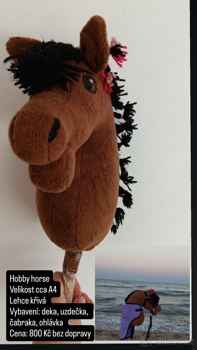 Hobby Horse - 3