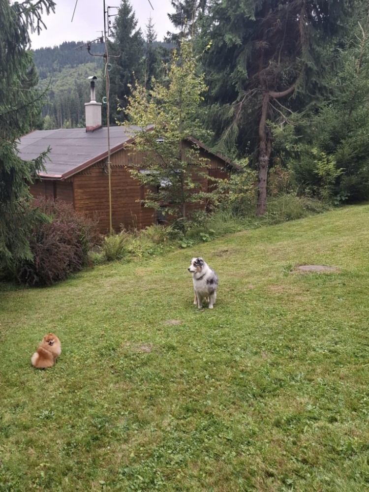 Prodám chatu na Bílé ( SLEVA ) - 3