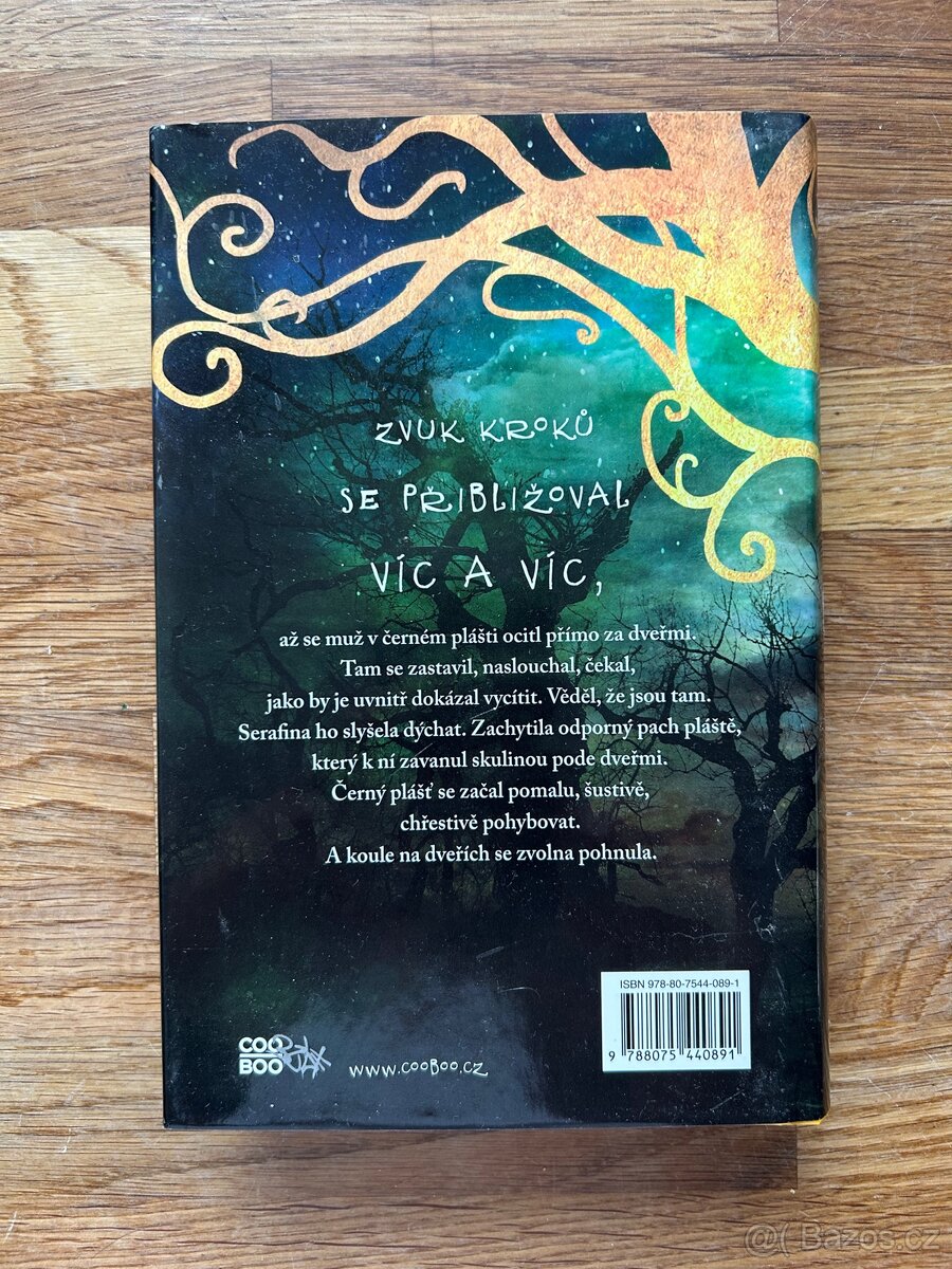 Kniha: Serafina a černý plášť - 3