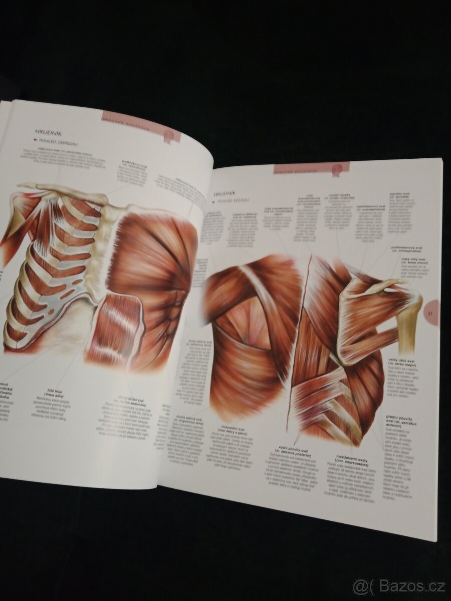 Atlas lidského těla - 3