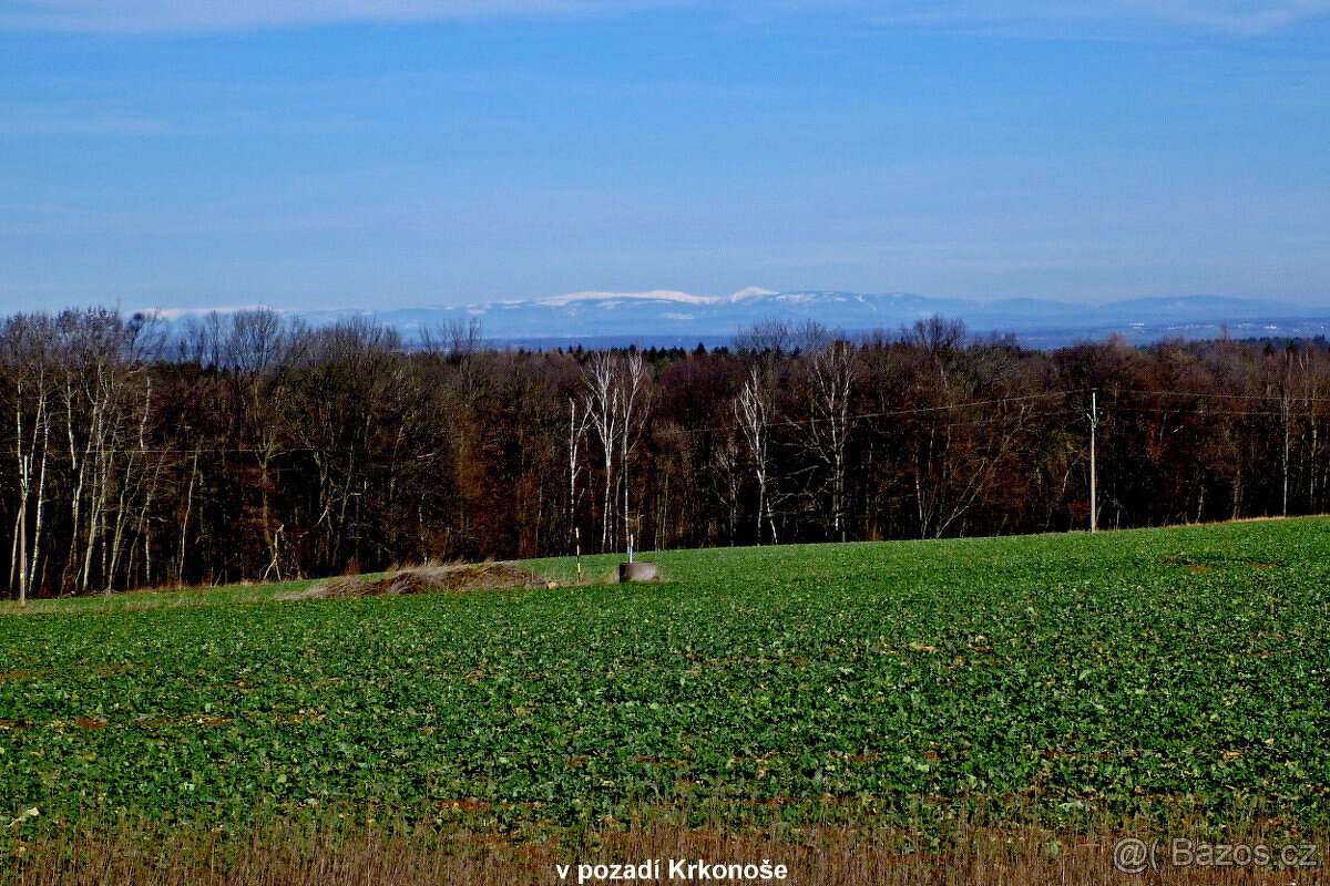 Stavební pozemek v Železných horách - 3
