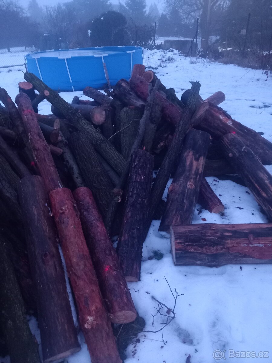 Prodám palivové drevo - 3