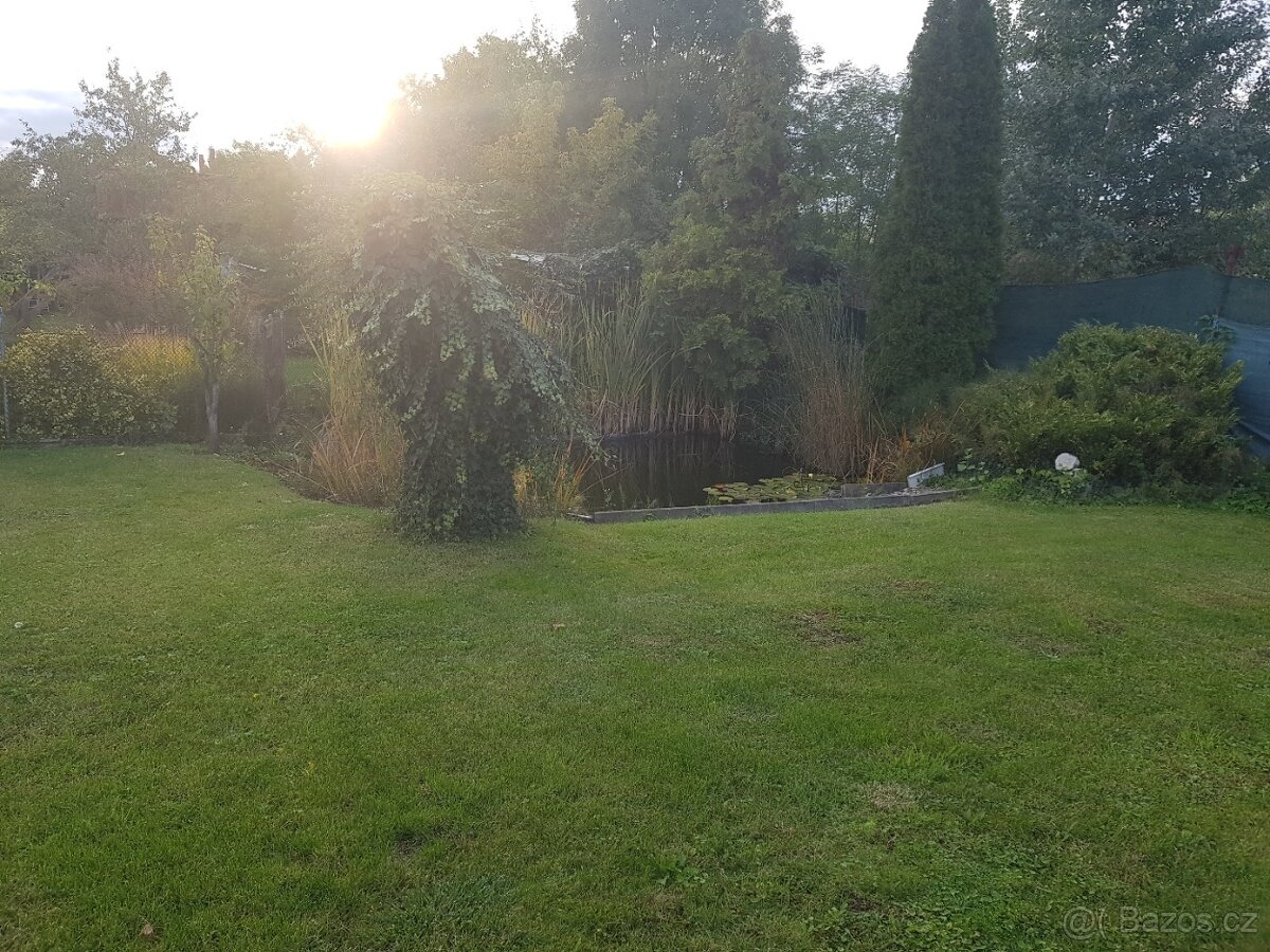 Pronajmu zahradu s chatkou - 3