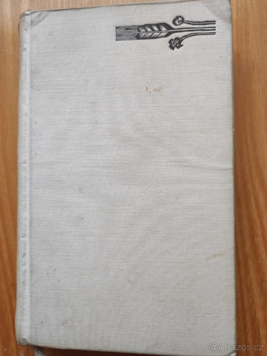 Knihy Defilé a Profesionální žena - 3