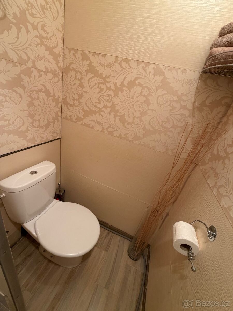 Pronájem bytu - 3