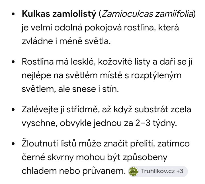 Kalous zamiolisty - 3