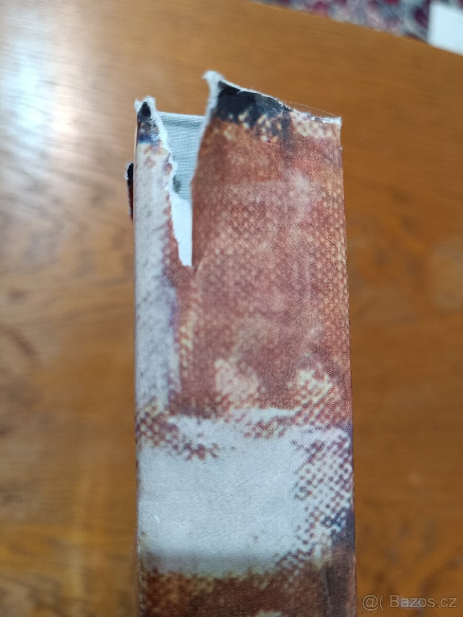 Kniha Antonín Slavíček autor: Jan Tomeš - 3