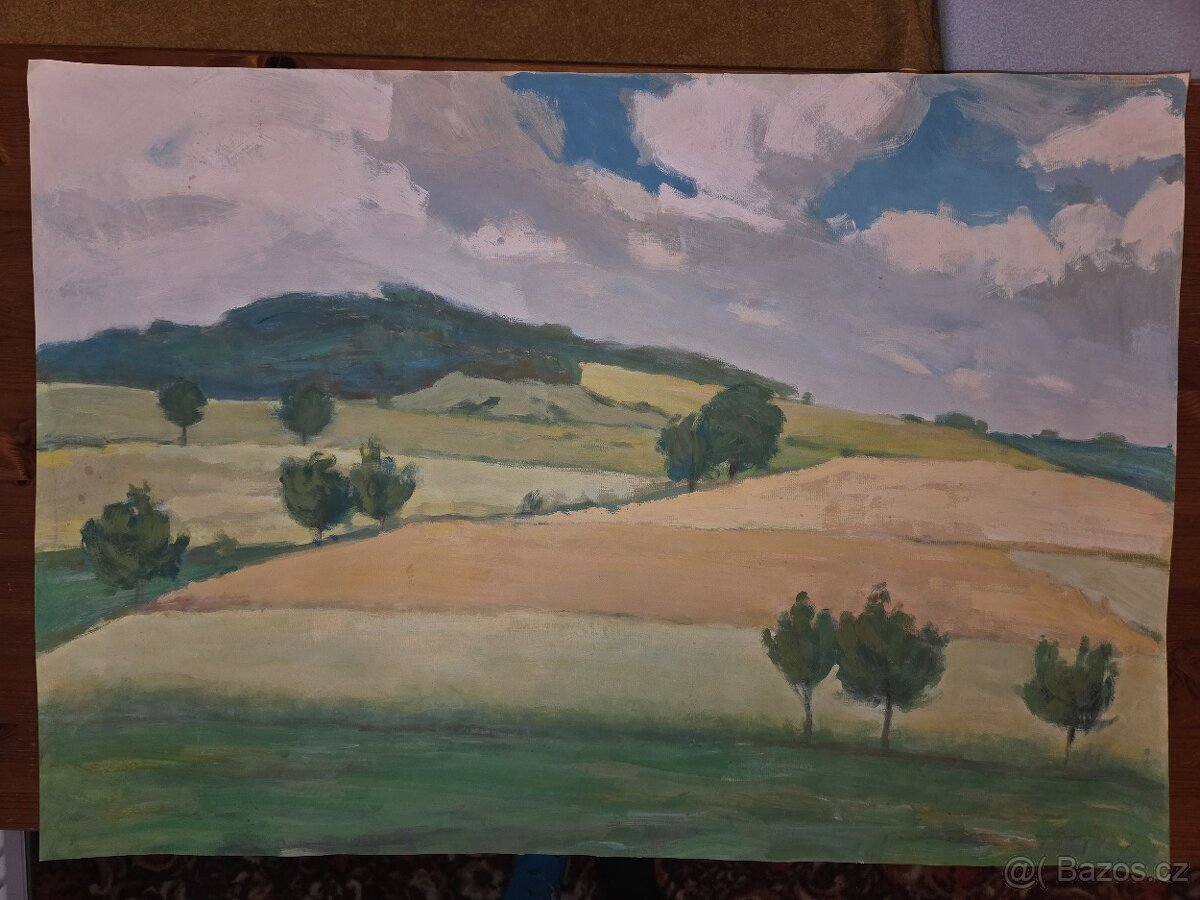 Prodám obraz krajiny - 3