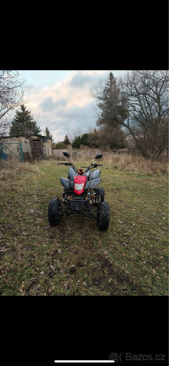 Bashan 250