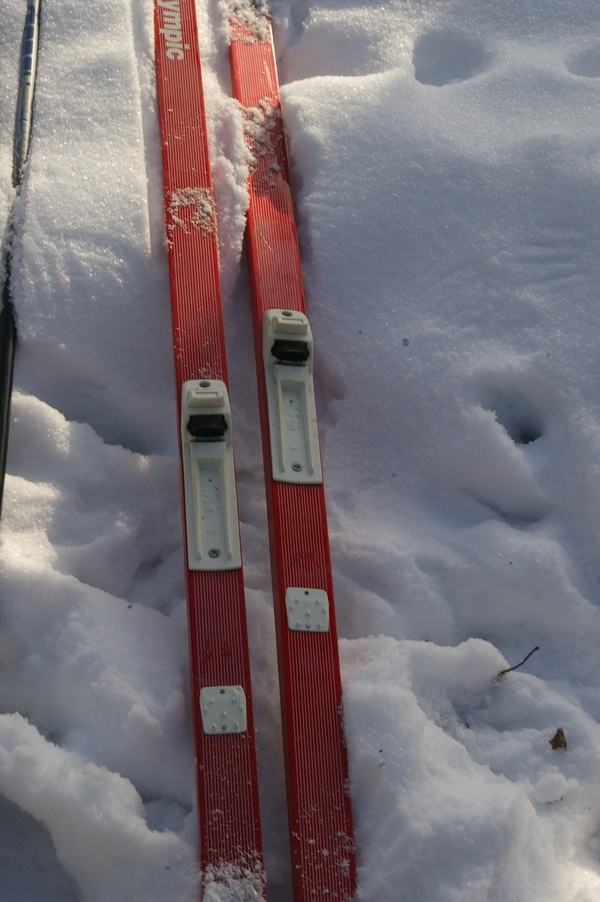 prodám lyže a boty - 3